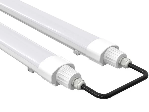 Eco Version D2 LED Triproof Light